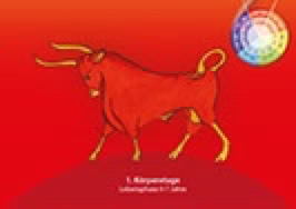 Karte 1. Lebenszyklus 0 - 7 Jahre, Krafttier Stier