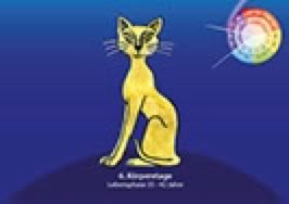 Karte 1. Lebenszyklus 35-42 Jahre, Krafttier Katze