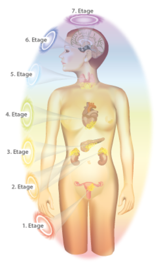 Die Energieetagen, Entsprechungen zu Organen und Farbfrequenzen