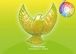 Karte 1. Lebenszyklus 21-28 Jahre, Krafttier Taube