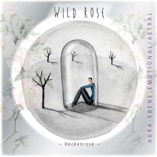 Titelseite Bachblüten-Karte “Wild Rose“, den Glauben an Veränderungsmöglichkeiten zurückgewinnen