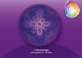 Karte 2. Lebenszyklus 91-98 Jahre, Geometrie Violett